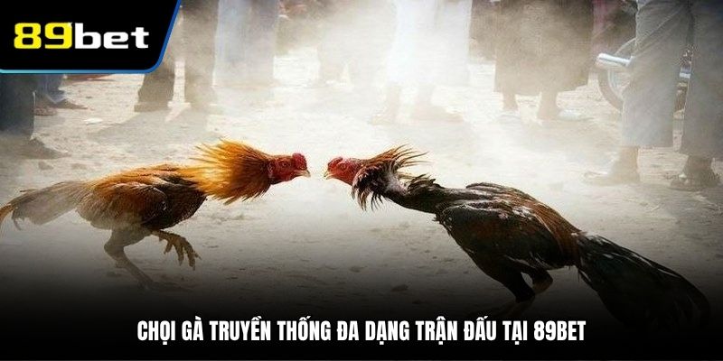 Chọi gà truyền thống quen thuộc nhận sự yêu thích lớn