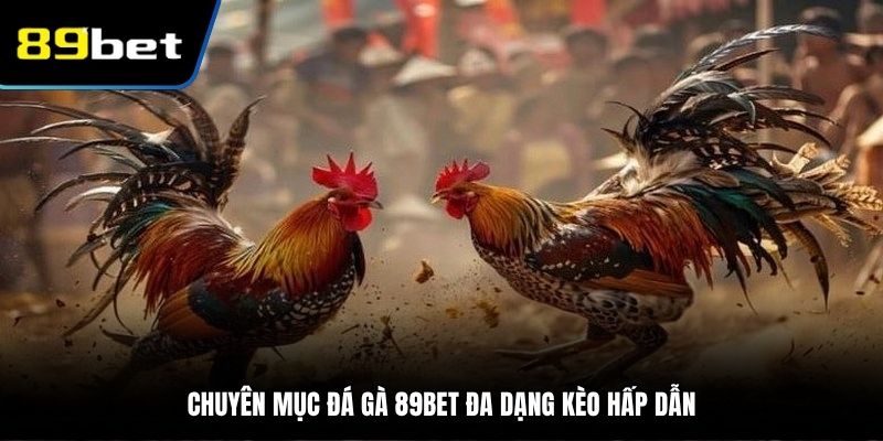Đá gà 89BET hấp dẫn hội viên với đa dạng kèo chất