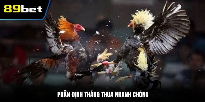 Phân định thắng thua nhanh chóng