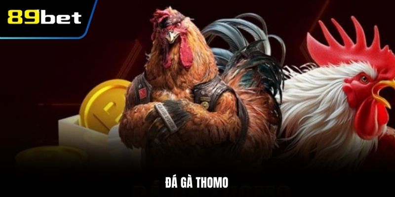 đá gà Thomo