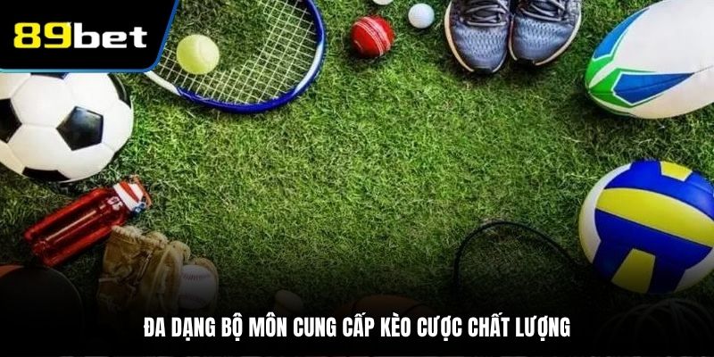 Nhiều bộ môn cung cấp kèo chất lượng khi tham gia tại 89BET